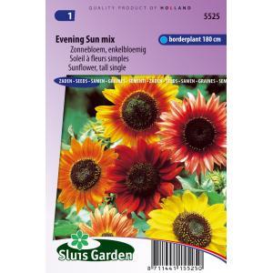 Zonnebloem enkelbloemig bloemzaden - Evening sun Mix - thumbnail