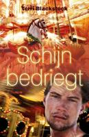 Schijn bedriegt - Terri Blackstock - ebook - thumbnail