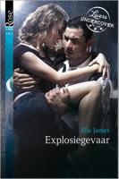 Explosiegevaar - Mary Jernigan - ebook - thumbnail