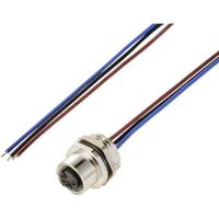TRU COMPONENTS TC-12833212 Sensor/actuator inbouwbus M12 Aantal polen (sensoren): 3 Bus, inbouw 0.5 m 1 stuk(s) - thumbnail
