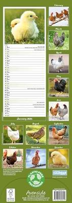 Kippen Kalender 2026 Slimline Kippen Kalender 2026 Slimline