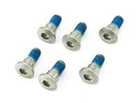 TRW bouten set screw set 6pcs. m8x1,25 - thumbnail