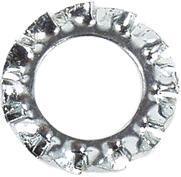 Fix-Nippel kartelring serrated washer fix-nip. m6 zinc