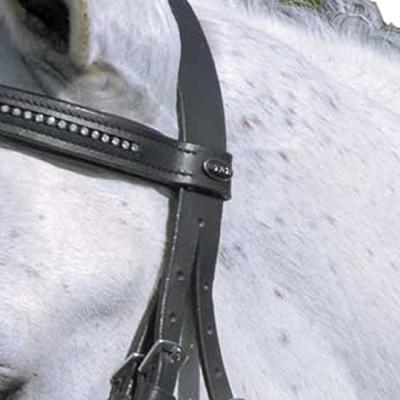 Star Diamond hoofdstel zwart maat:shetl
