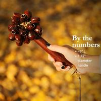 Meinl Sonic Energy Pala Rod Shaker nootmuskaat - thumbnail