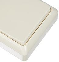 ELSO toets 506200 42V/1A opbouw RENOVATIE pw Wit 1 stuk(s) - thumbnail