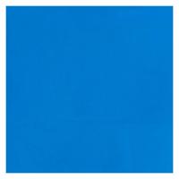 Bruynzeel Ecola plakkaatverf fles 16ml lichtblauw 501 - thumbnail