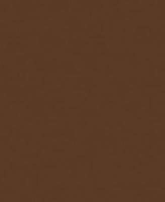 Sprayverf Pintyplus Evolution RAL 8011 400 ml Nut Brown Sprayverf Pintyplus Evolution RAL 8011 400 ml Nut Brown