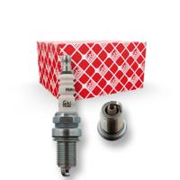 Bougie 13418 - thumbnail