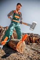 Halder 3556.260 Draaibare splijtwig 260 mm 3100 g - thumbnail