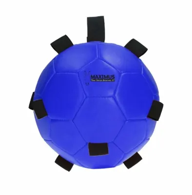 Excellent Horse Fun Play Ball Blauw