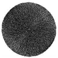 Placemat Ciara 38 cm dia. black Unique Living - Unique living - thumbnail