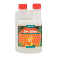 Canna Canna PK 13/14 - thumbnail