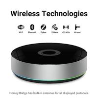 Athom Homey Bridge - thumbnail