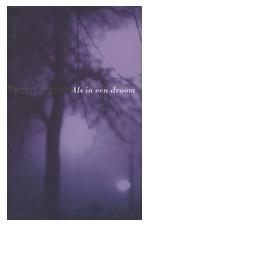 Als in een droom - Remco Campert - ebook