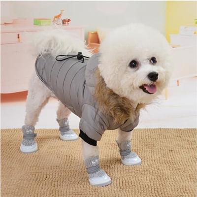 Winter Hondenkleding Lichtgewicht Hondenjas Katoenen Jas Voor Kleine Honden Buitenhuisdieren Katten Puppy Kleding Met Capuchon Bij Koud Weer (B XS)