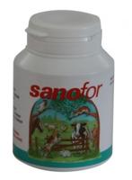 SANOFOR VEENDRENKSTOF 500 ML - thumbnail