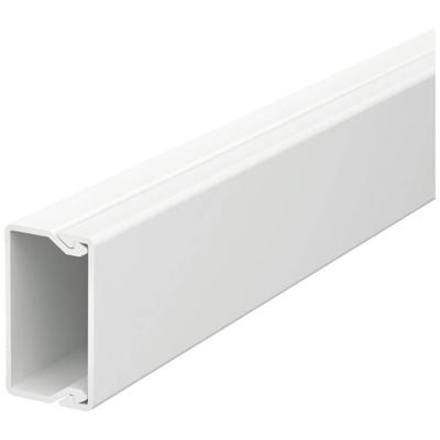 OBO Bettermann 6026354 Kabelgoot (l x b x h) 2000 x 35 x 20 mm Lichtgrijs 1 stuk(s) OBO Bettermann 6026354 Kabelgoot (l x b x h) 2000 x 35 x 20 mm Lichtgrijs 1 stuk(s)