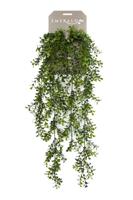 Zijdeplant Hangplant op steker Buxus kunstplant Driesprong Collection - Driesprong collection - thumbnail