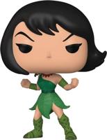 Samurai Jack Funko Pop Vinyl: Ashi (1053) - thumbnail