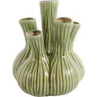 Vaas Fabio - thumbnail