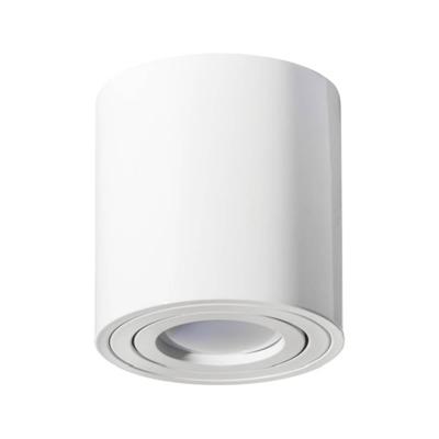 DOTLUX 4855 Lampfitting 1 stuk(s)