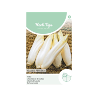 Zaden Brussels Witlof Hollandse Middelvroeg Hortitops - Hortitops - thumbnail