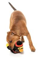 Fuzzyard duck quackie chan pluche - thumbnail