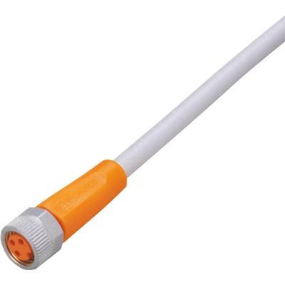 ifm Electronic EVW069 Aansluitkabel Aantal polen (sensoren): 3 Bus, recht 5 m 1 stuk(s)