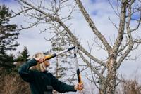 Fiskars PowerGearX LX94-M 1020187 Takkenschaar Bypass - thumbnail