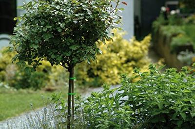 Meister Kabelbinder Set 85-Dlg W - WU7452490