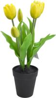Tulp in pot 30,5 cm geel Driesprong Collection - Driesprong collection - thumbnail