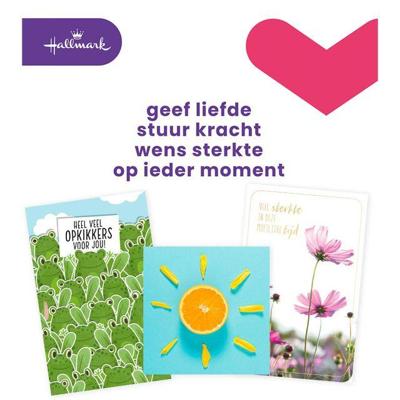 Hallmark navulset wenskaarten, beterschap/sterkte, pak van 12 stuks
