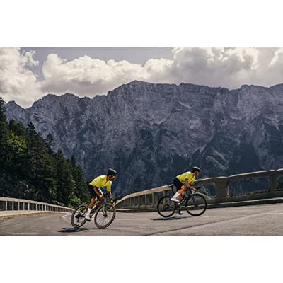 GOREWEAR Essential - Socks