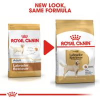 Royal Canin Adult Labrador Retriever hondenvoer 3 kg - thumbnail