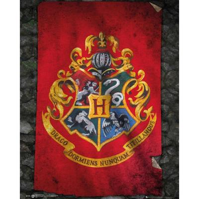 Harry Potter Zweinstein Vlag Poster 40x50cm Harry Potter Zweinstein Vlag Poster 40x50cm