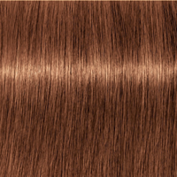 Indola Profession PCC Fashion 6.34 Donker Blond Goud Koper Haarverf 60ml - thumbnail