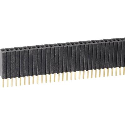Fischer Elektronik Female header (standaard) Aantal rijen: 1 Aantal polen per rij: 36 BLM KG 1/ 36/Z 1 stuk(s)