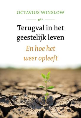 Terugval in het geestelijk leven - Octavius Winslow - ebook