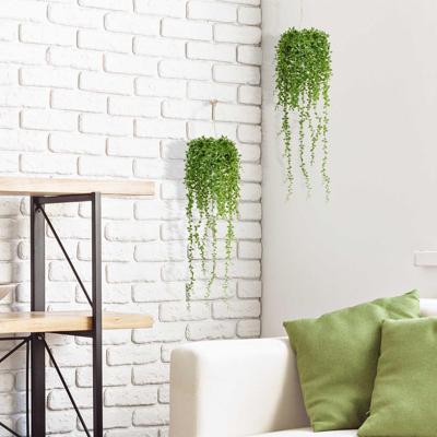 Senecio kunst hangplant 60cm