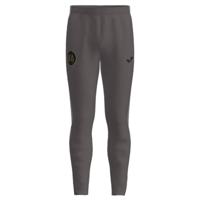 Joma RSC Anderlecht Trainingsbroek 2025-2026 Grijs - thumbnail