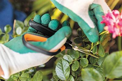 Fiskars Solid Snip Bloemen Snoeischaar | SP15 1051602