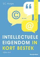 Intellectuele eigendom in kort bestek (Paperback) - thumbnail