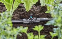 GARDENA micro-drip-system t-stuk voor sproeiers verbinding (donkergrijs) - thumbnail
