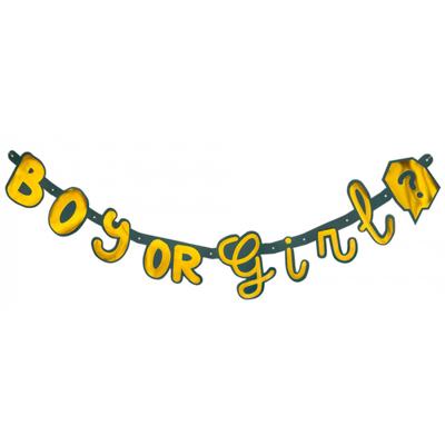 Letterslinger Gender Reveal &apos;Boy or Girl&apos; Goud/Groen (1,3m)
