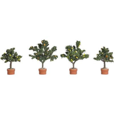 Busch BUSCH JAEGER 6619 Set bomen Citrusbomen 45 tot 58 mm Groen (gemiddeld) 1 stuk(s) Busch BUSCH JAEGER 6619 Set bomen Citrusbomen 45 tot 58 mm Groen (gemiddeld) 1 stuk(s)