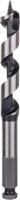 Bosch Accessoires Houtslangenboor, zeskant 16 x 100 x 160 mm, d 11,1 mm 1st - 2608585703 - thumbnail