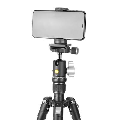 Vanguard VESTA GO 204AB