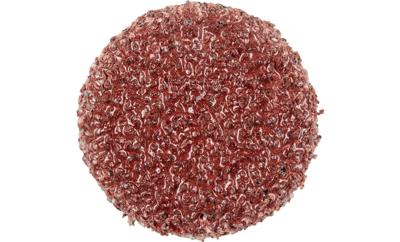 PFERD TOOLS PSA 12 A 60 42832006 Schuurblad Korrelgrootte (num) 60 (Ø) 12 mm 100 stuk(s) PFERD TOOLS PSA 12 A 60 42832006 Schuurblad Korrelgrootte (num) 60 (Ø) 12 mm 100 stuk(s)