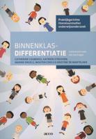 Binnenklasdifferentiatie (Paperback) - thumbnail
